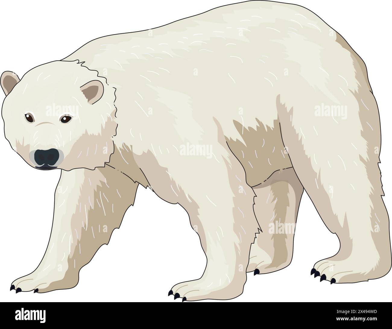 Niedlicher Eisbär, der spaziert Stock Vektor