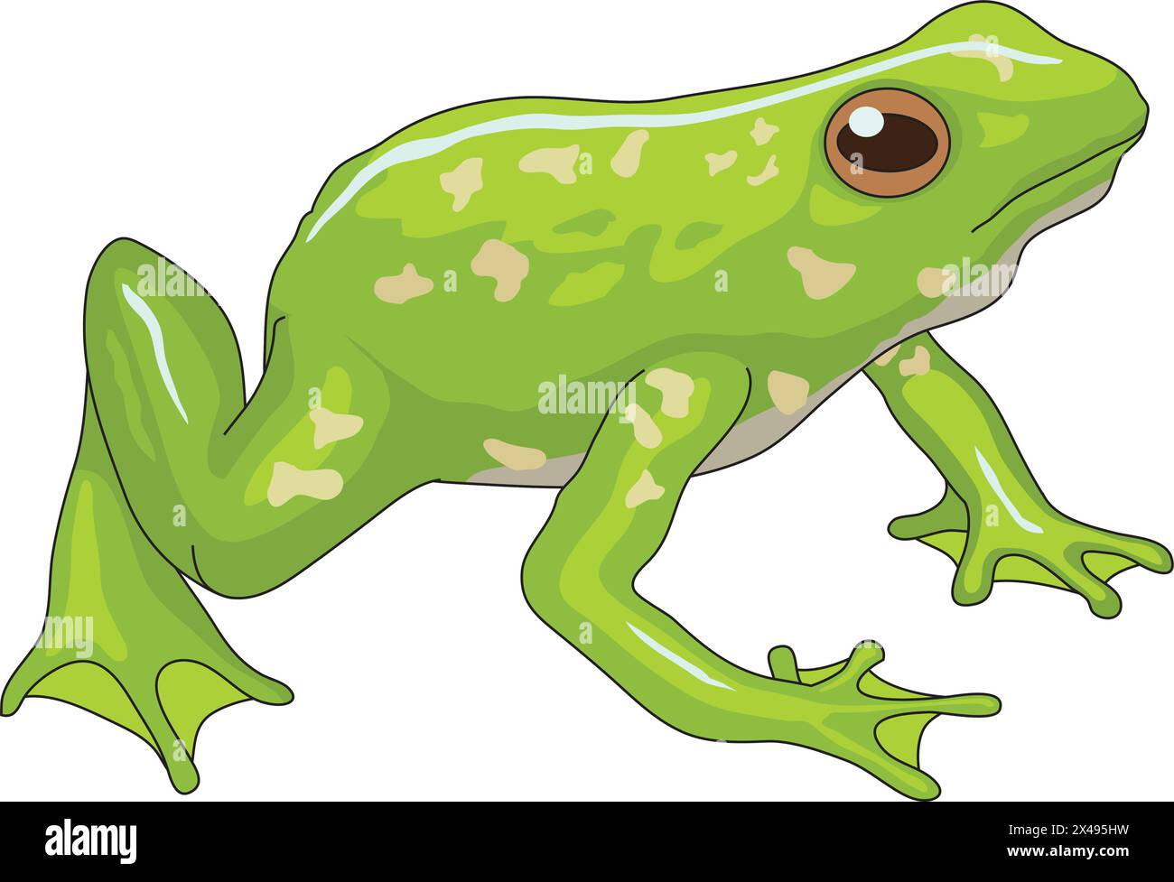 Süßer grüner Frosch, der neugierig aussieht Stock Vektor