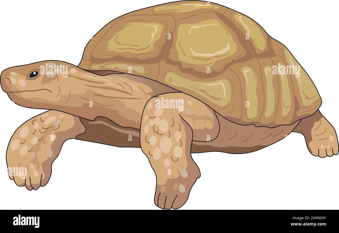 Schildkröte Comic-illustration Stock Vektor