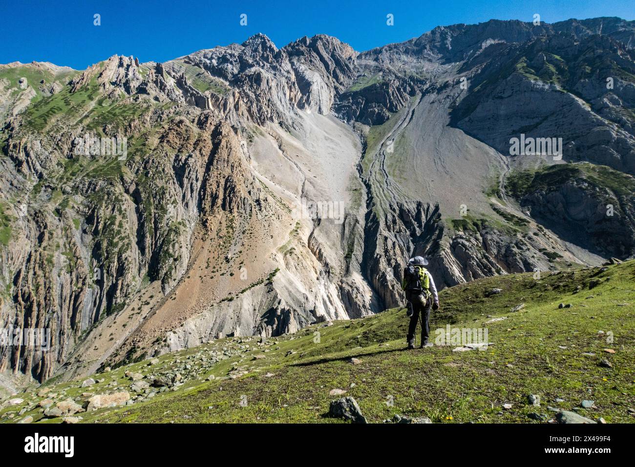 Ziegenherde im Warwan Valley, Kaschmir, Indien Stockfoto