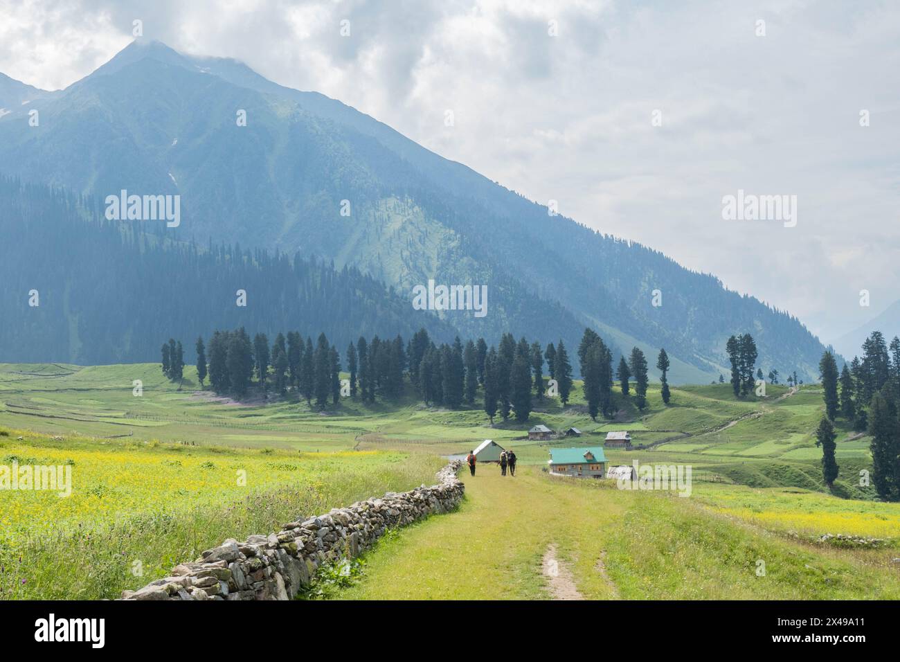 Atemberaubende Landschaften rund um das Dorf Sukhnai, Warwan Valley, Kaschmir, Indien Stockfoto