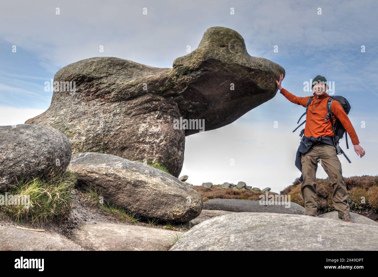 Massive, seltsame, erodierte Felsformationen in der Gegend, die als Woolpacks am Kinder Scout im Peak District bekannt ist. Sieht aus wie ein Hund oder Knochen. Stockfoto