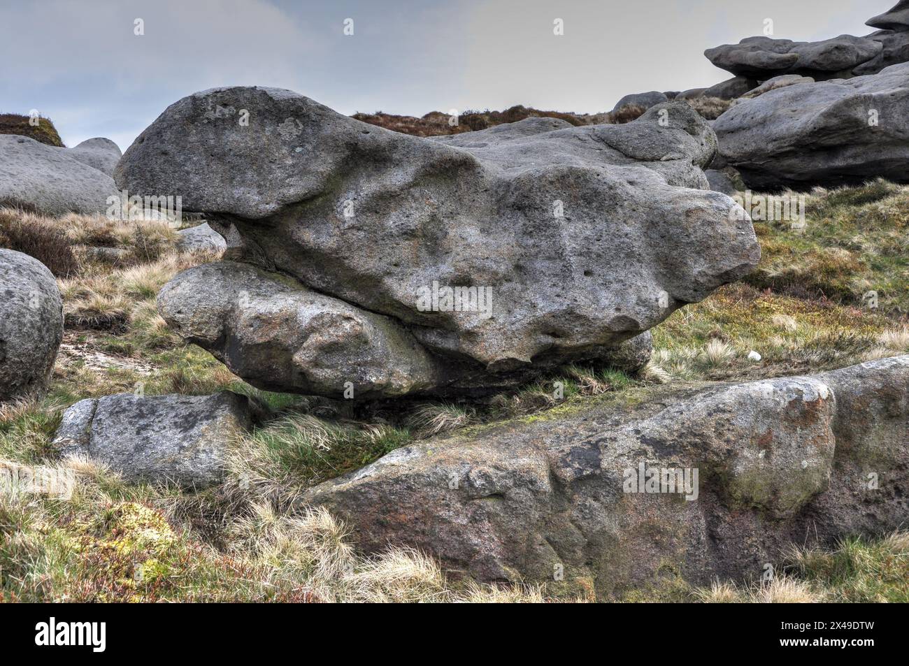 Massive, seltsame, erodierte Felsformation, die wie ein Brutvogel aussieht, in der Gegend, die als Woolpacks am Kinder Scout im Peak District bekannt ist Stockfoto