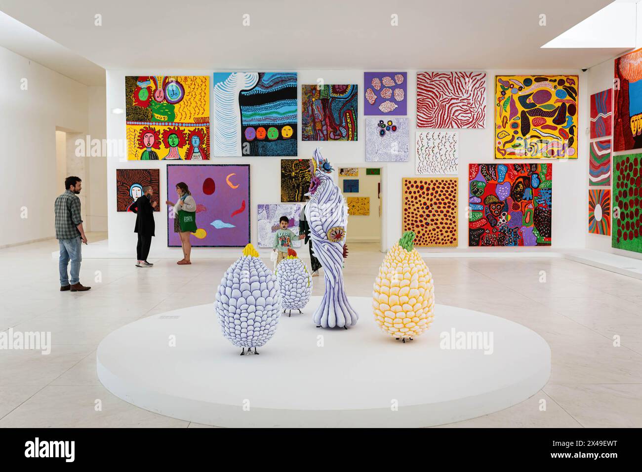 Installationsansicht Des Abschnitts Kraft Des Lebens Der Ausstellung 