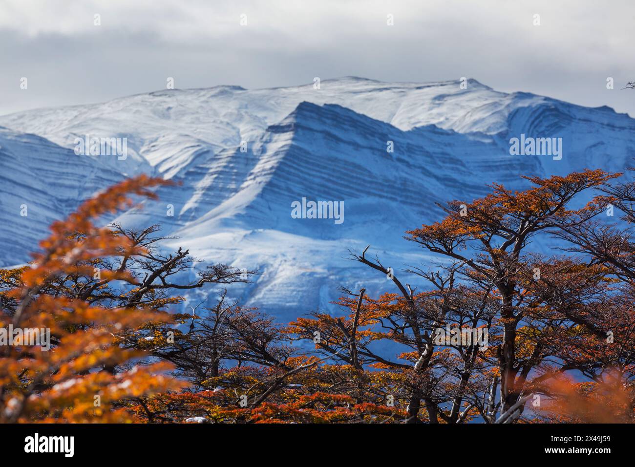 Herbst in Patagonien Berge, Südamerika, Argentinien Stockfoto
