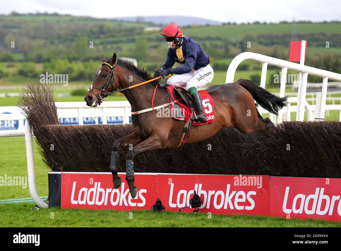 Fastorslow wurde von JJ Slevin auf dem Weg zum Sieg des Ladbrokes Punchestown Gold Cup Chase am zweiten Tag des Punchestown Festivals auf der Punchestown Racecourse in County Kildare gefahren. Bilddatum: Mittwoch, 1. Mai 2024. Stockfoto