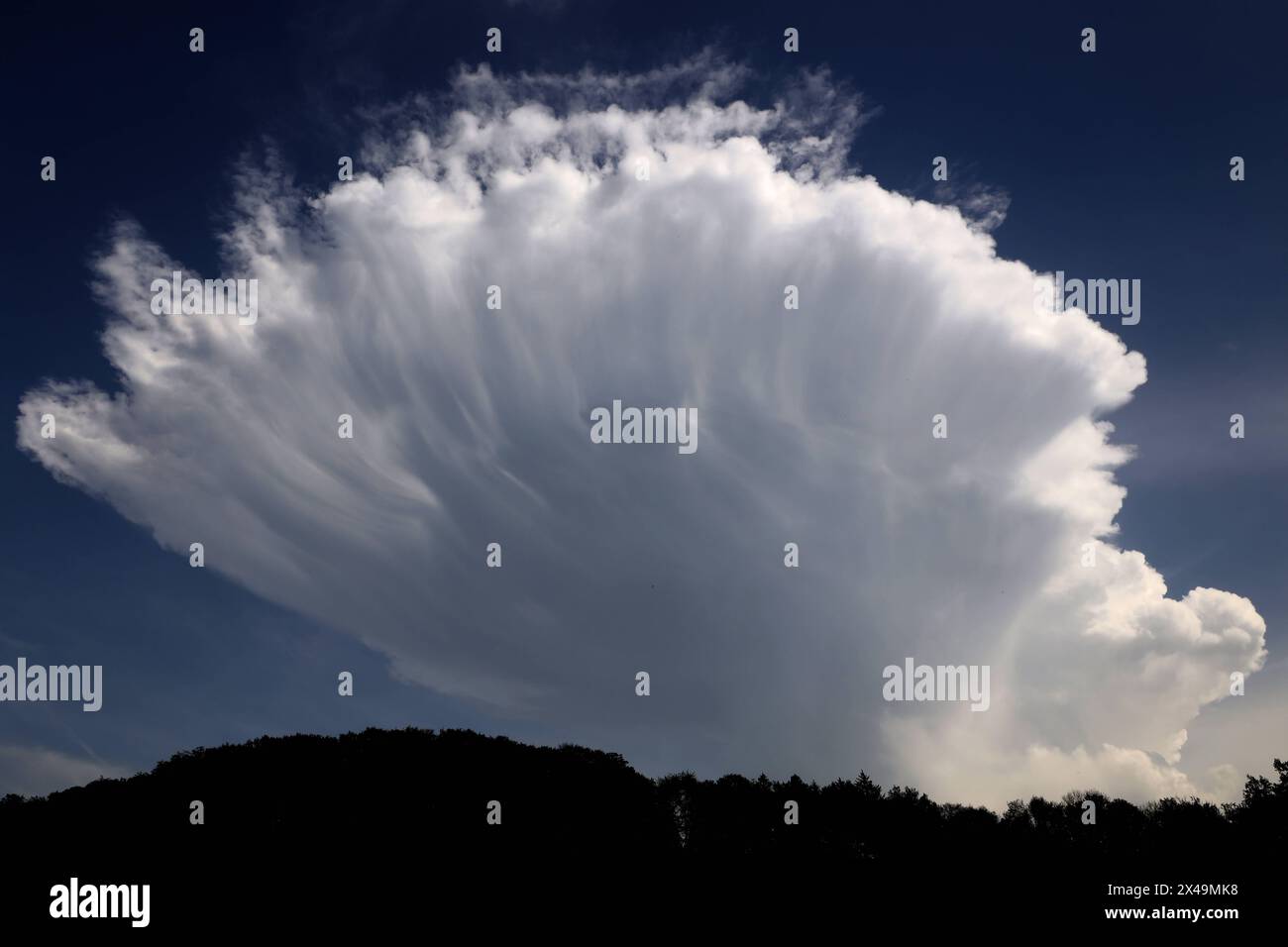 Gewitterwolken am Himmel eine Cumulonimbuswolke mit typischem Amboss räumlich gesehen als pilzhutförmiger Schirm. Velbert-Langenberg Nordrhein-Westfalen Deutschland Bleiberg *** Gewitterwolken am Himmel Eine Kumulonimbuswolke mit typischem Amboss räumlich gesehen als pilzförmiger Schirm Velbert Langenberg Nordrhein-Westfalen Deutschland Bleiberg Stockfoto