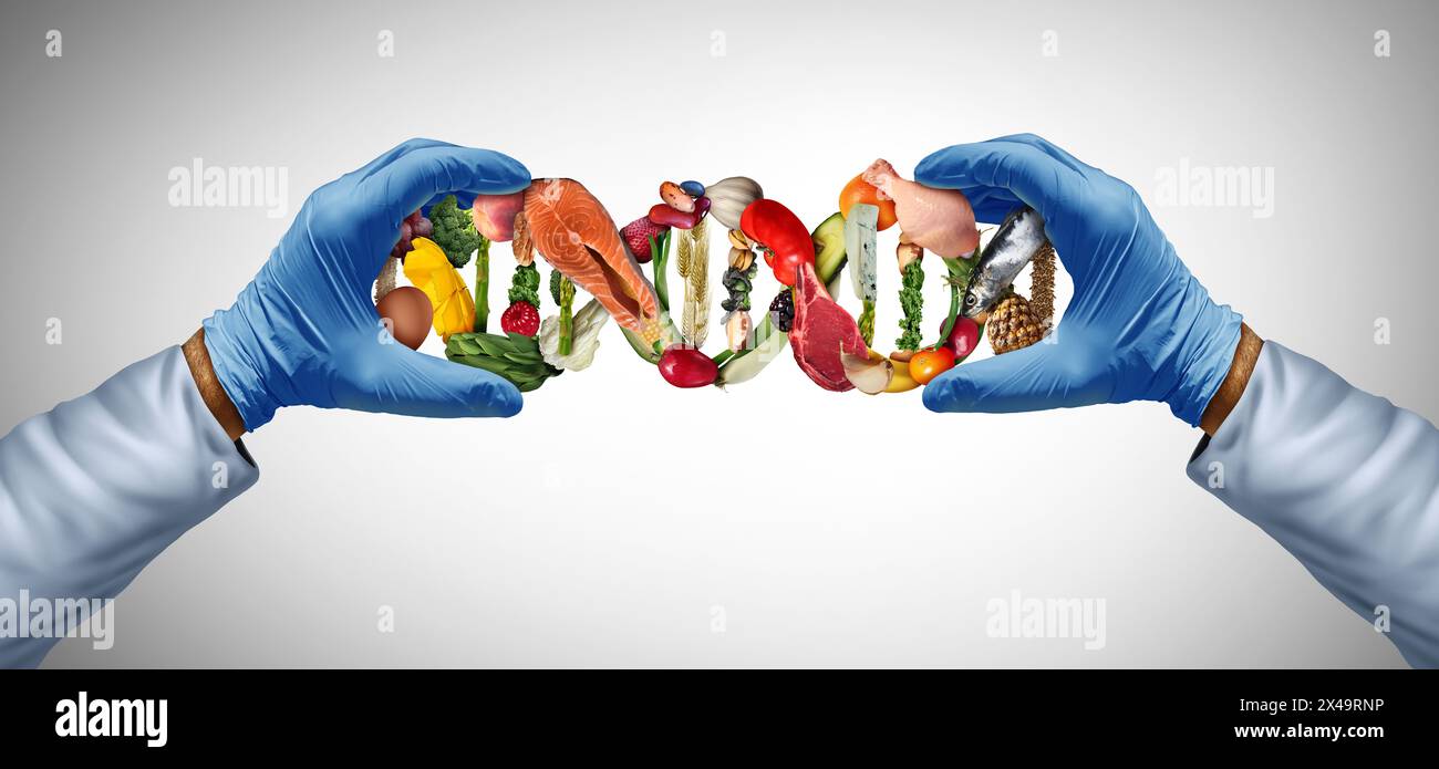 Lebensmittelwissenschaft und ausgewogene Ernährungsgenetik als Ernährungswissenschaften als Ernährungswissenschaftler oder Wissenschaftler mit Nährstoffen mit einem DNA-Strang als Nahrung Stockfoto