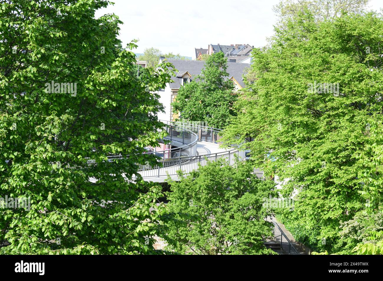 Fußgängerbrücke zwischen grünen Bäumen Stockfoto
