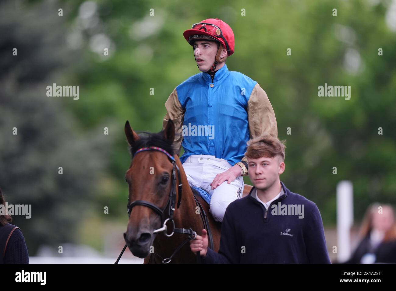 Mr. Baloo wurde von Jockey Joe Leavy gefahren, nachdem er das verbesserte Bet Builder Handicap von Unibet auf der Rennbahn Kempton Park in Surrey gewonnen hatte. Bilddatum: Mittwoch, 1. Mai 2024. Stockfoto