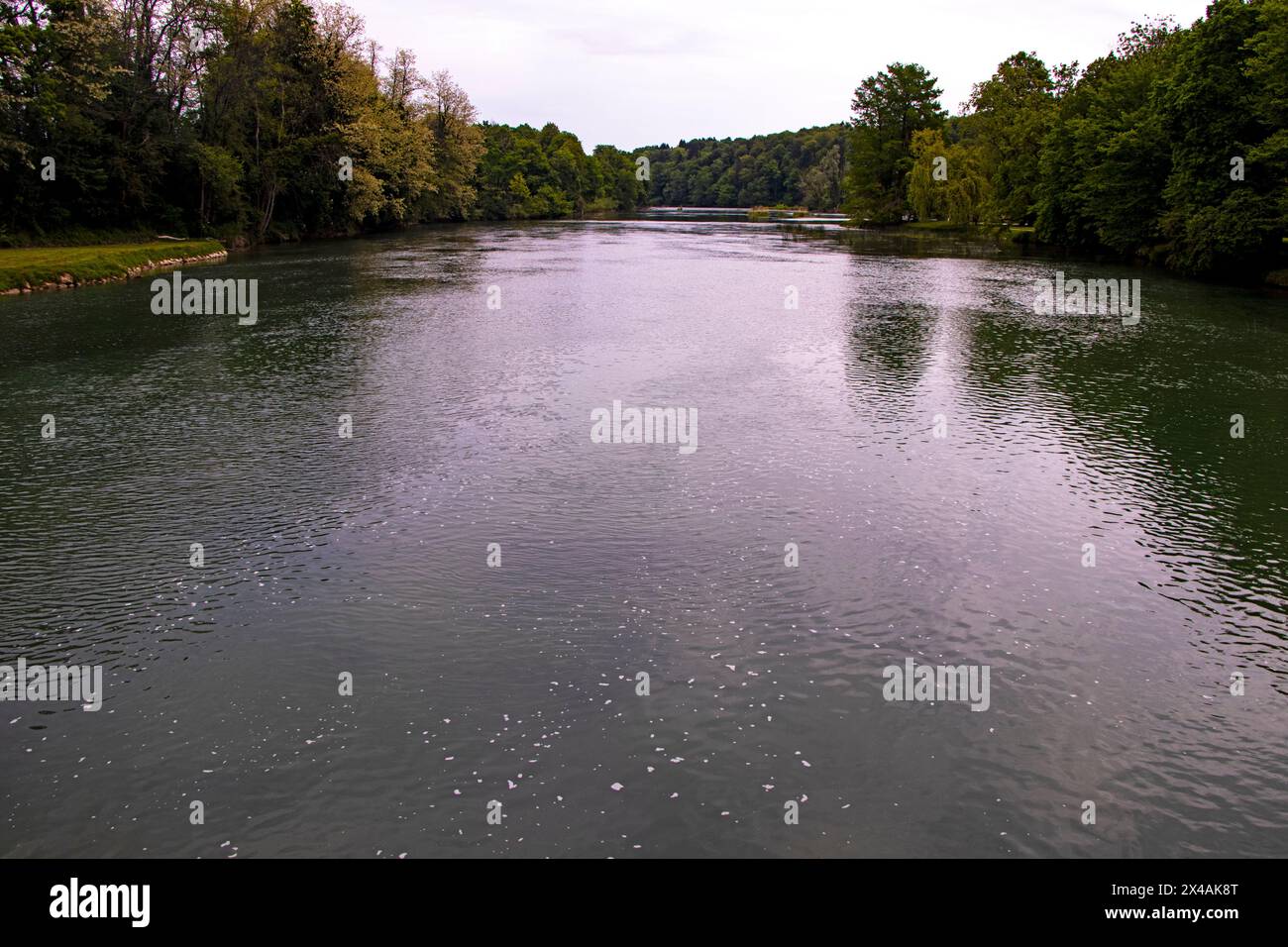Fluss Krka in der Nähe der Burg Otocec mit sauberem Flusswasser und grüner Vegetation an beiden Ufern Stockfoto