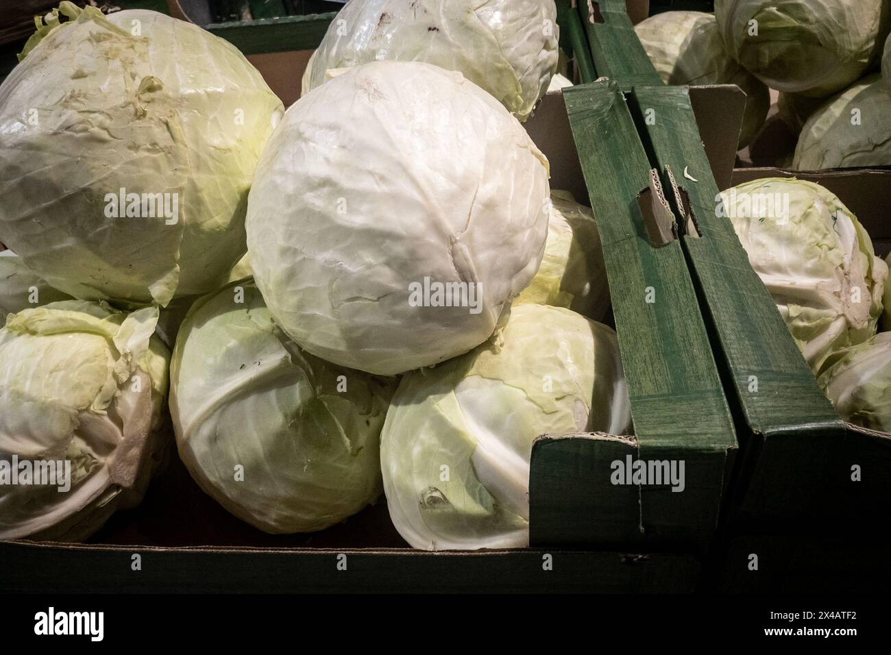 Dieses Bild wurde auf einem Belgrader Markt aufgenommen und zeigt eine Sammlung von frisch geerntetem Weißkohl, die zum Verkauf angeboten werden. Jeder Kohl mit seinem wig Stockfoto