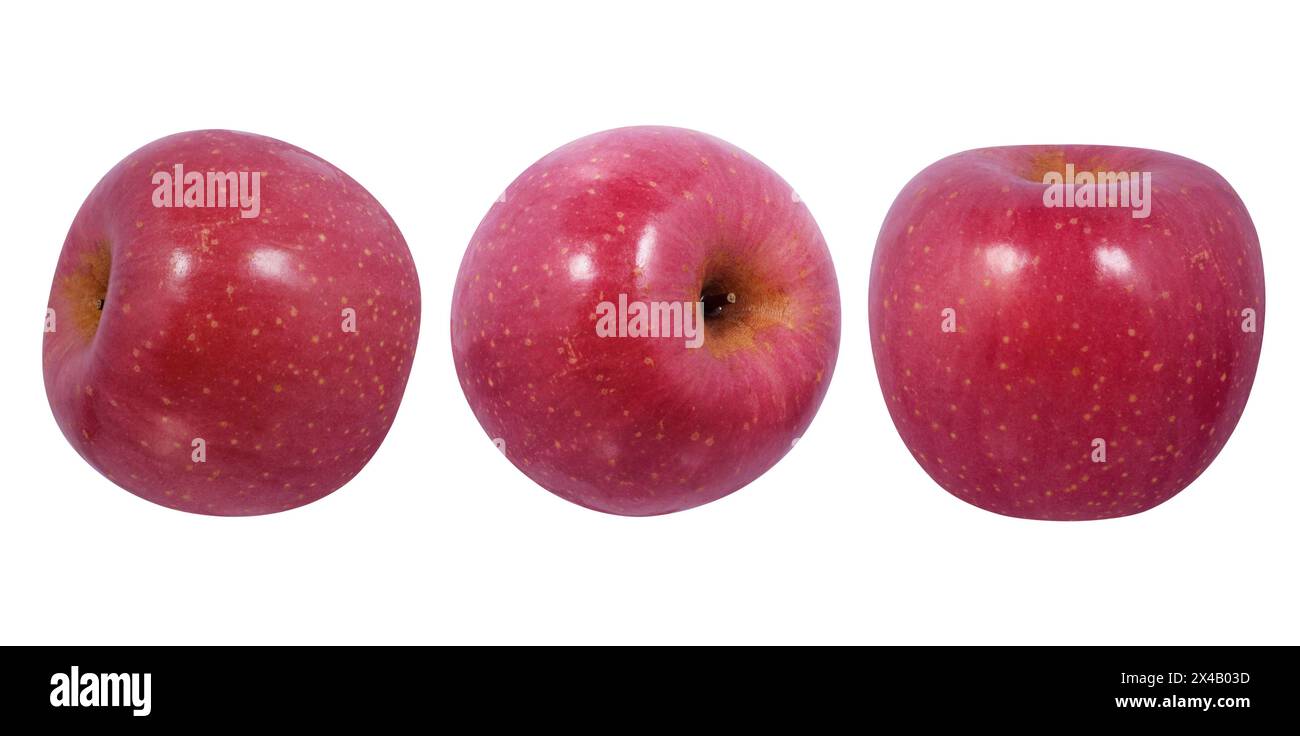 Apfelfrüchte isoliert auf weißem Hintergrund Stockfoto