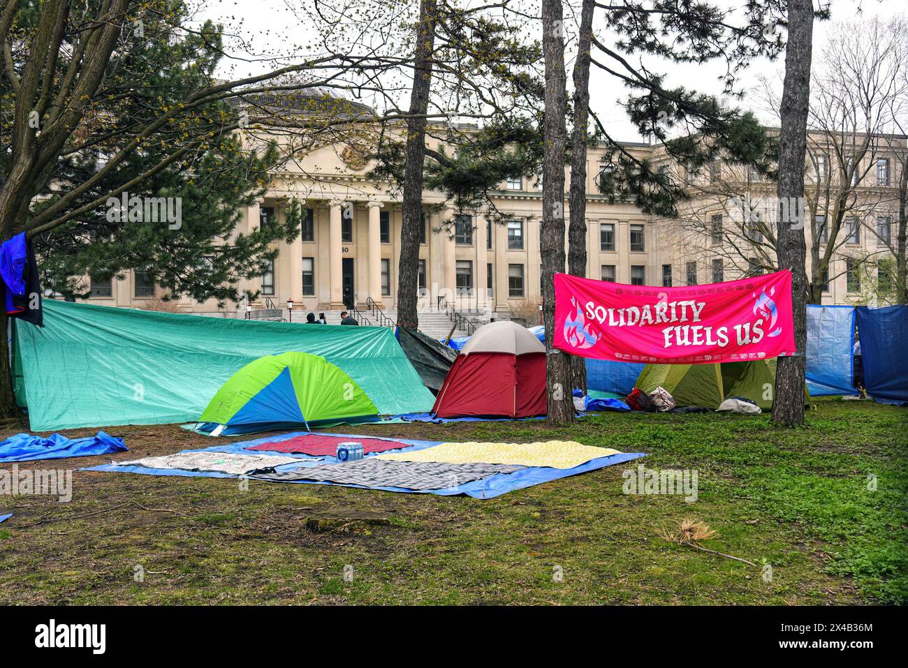 Ottawa, Kanada - 1. Mai 2024: Ein pro-palästinensischer Protest hat sich von einem Sit-in zu einem Lager entwickelt, da mehrere Zelte auf dem Rasen von Tabaret Hall errichtet wurden. Dies ist trotz der Tatsache, dass die Universität erklärt hat, dass am Tag zuvor keine Lager toleriert werden. Die Gruppe fordert, dass die Universität jegliche Investitionen, die sie in Unternehmen und Organisationen mit Verbindungen zu Israel hat, offenlegt und veräußert. Ähnliche Proteste fanden an anderen Universitäten der Welt statt. Stockfoto