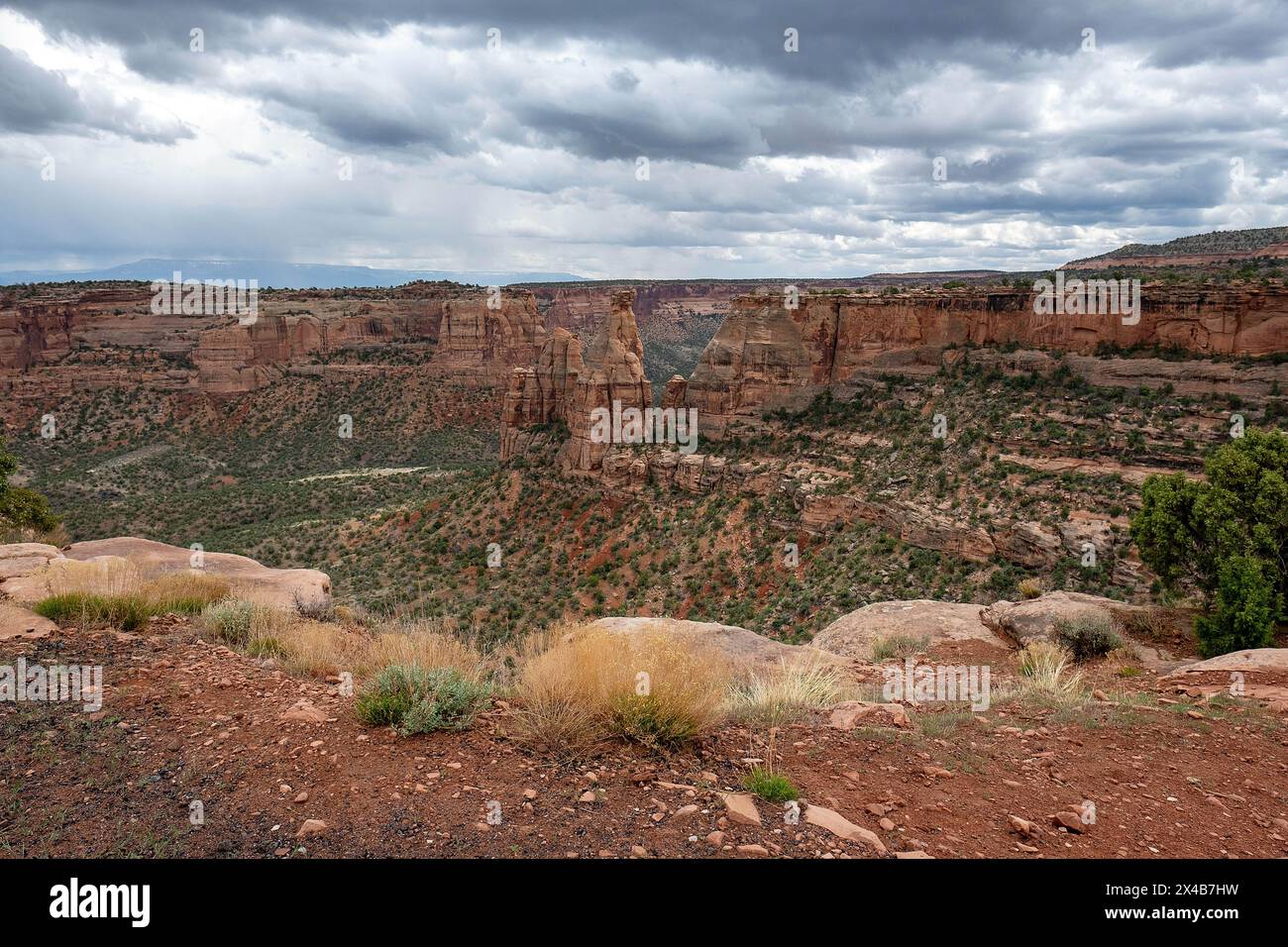 Mai 2024: Saftige Grüntöne aus Pinyon, wacholder und Salbei heben das satte Rot der tiefen Canyonwände im Colorado National Monument in Grand Junction, Colorado hervor. Stockfoto