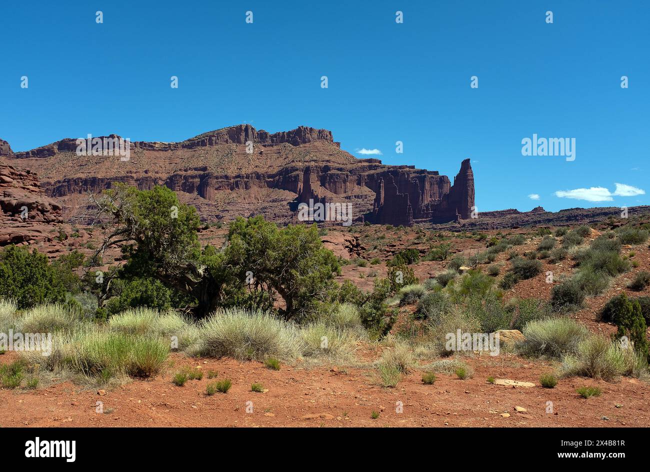 Moab, Utah, USA. Mai 2024. Satte natürliche Farben ergänzen das tiefe Rot von Castle Velley in dramatischer Hochwüsten- und Canyonlandschaft in der Nähe von Moab, Utah. (Foto: © Larry Clouse/Csm/Cal Sport Media). Quelle: csm/Alamy Live News Stockfoto