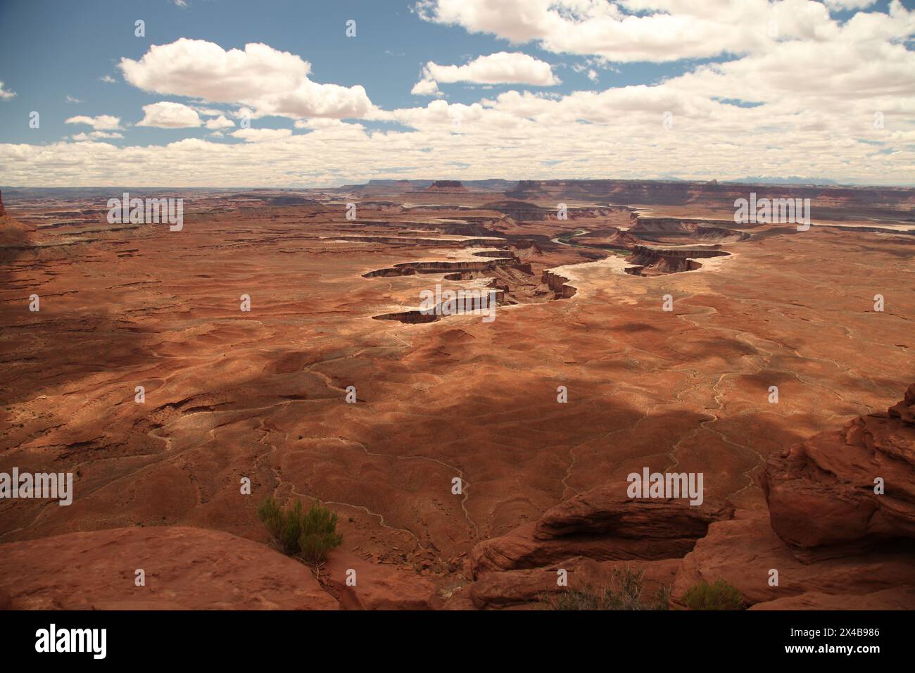 Weitläufige Aussicht vom Green River Overlook im Canyonlands National Park (Island in the Sky District), Utah Stockfoto