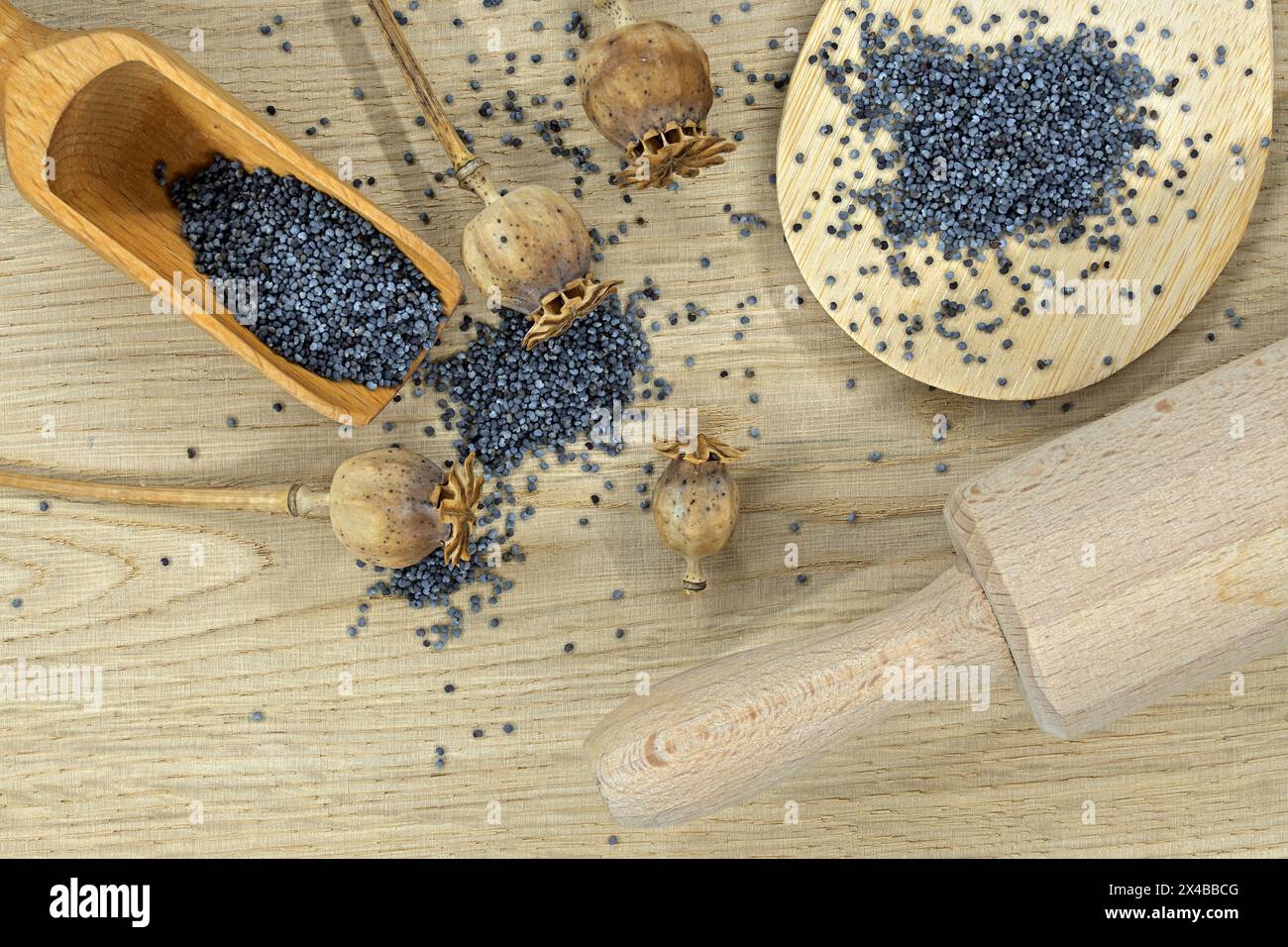 Holzlöffel gefüllt mit Mohnsamen und mehreren getrockneten Mohnschoten auf einem hellen Holztisch Stockfoto
