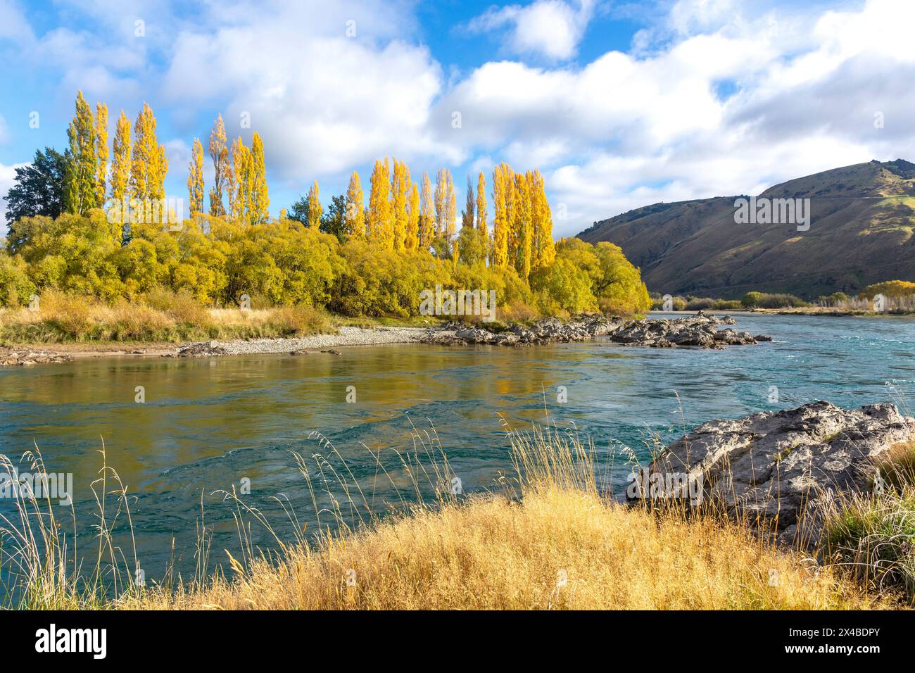 Fluss Clyde im Herbst am State Highway 8, Beaumont, Otago, Neuseeland Stockfoto