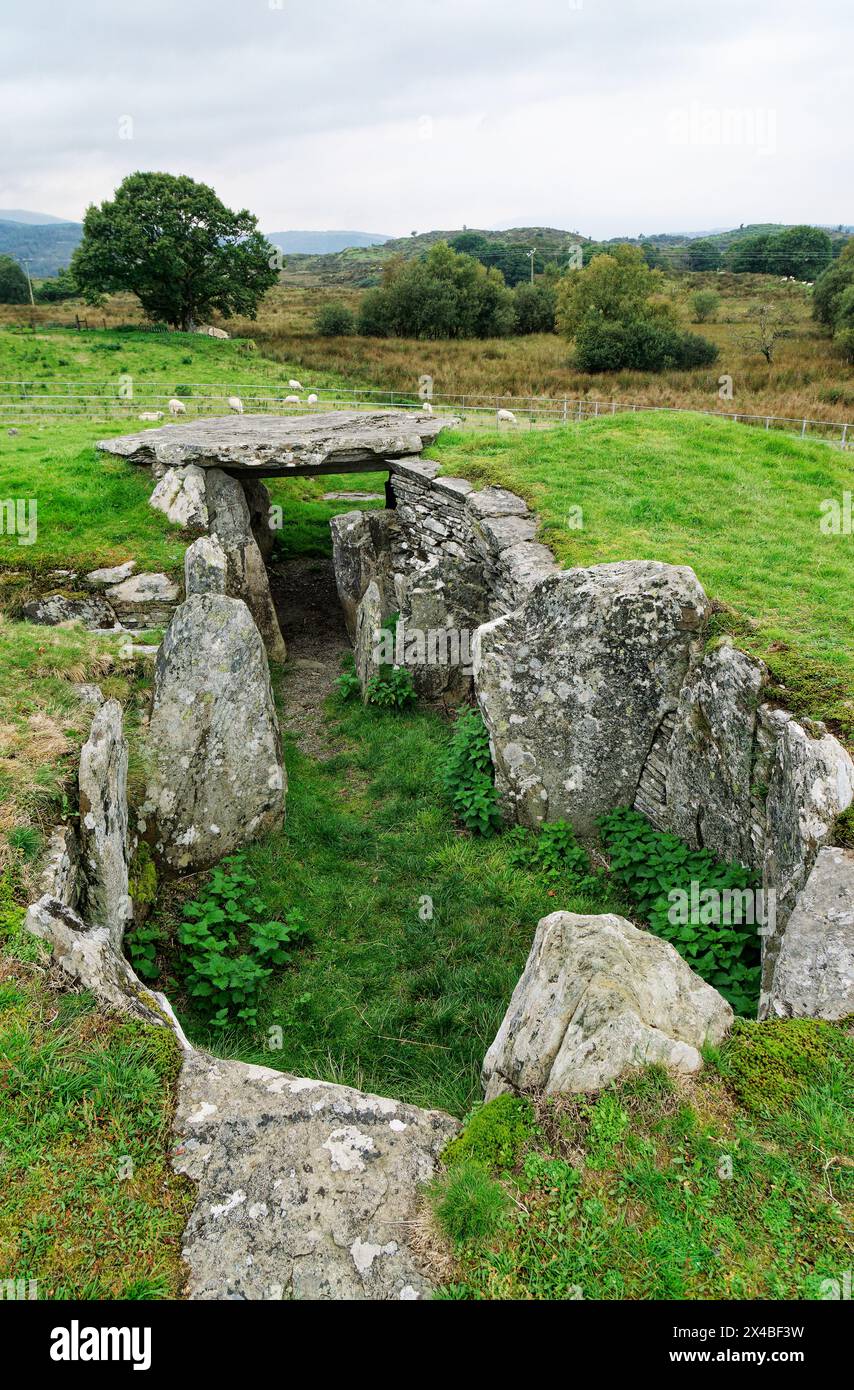 Capel Garmon neolithische Grabkammer im Severn-Cotswold-Stil. Blick über die zentralen Kammern vom östlichen gehörnten Ende des Hügels. Conwy, Wales Stockfoto