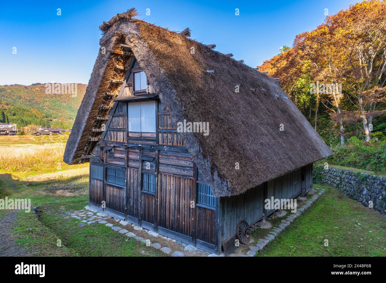 Shirakawago Dorf Gifu Japan, historisches japanisches traditionelles Gassho-Haus im Dorf Shirakawa in der Herbstlaub-Saison Stockfoto