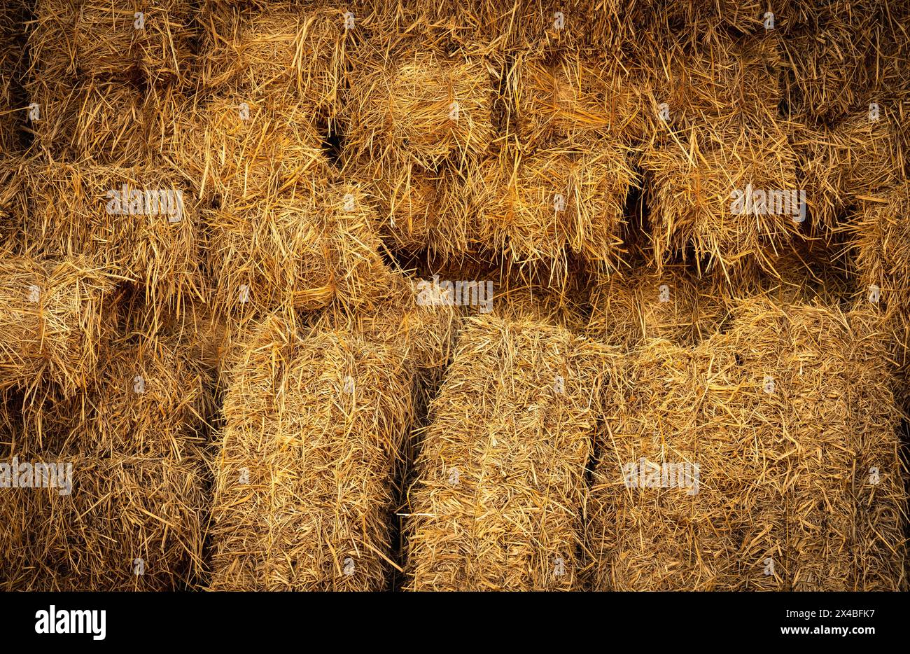 Trockener Strohballen und landwirtschaftliche Nebenprodukte. Gestapelte gelbe Strohballen für Tierfutter und Einstreu. Strohballen in der nachhaltigen Landwirtschaft. Stockfoto