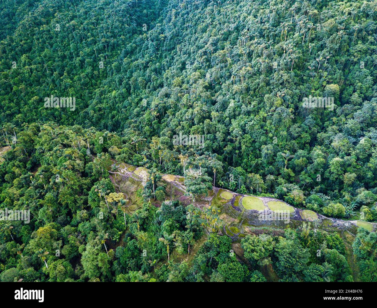 Versteckte antike Ruinen der Tayrona Zivilisation Ciudad Perdida im Herzen des kolumbianischen Dschungels. Luftaufnahme von oben. Verlorene Stadt Teyuna. Santa M. Stockfoto