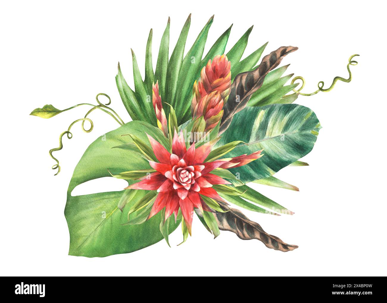 Tropische Blätter mit roten Blüten, Palmblatt, Kriechblattzusammensetzung, Hauspflanzengrün. Exotisches südliches Blatt, Blüten-Dschungel-Clipart-Aquarell Stockfoto