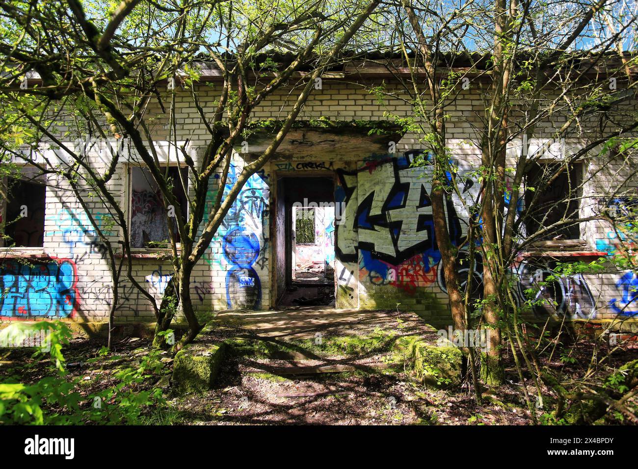 Eingang eines ruinösen Gebäudes mit wunderschönen Bäumen und blauem Himmel. Stockfoto