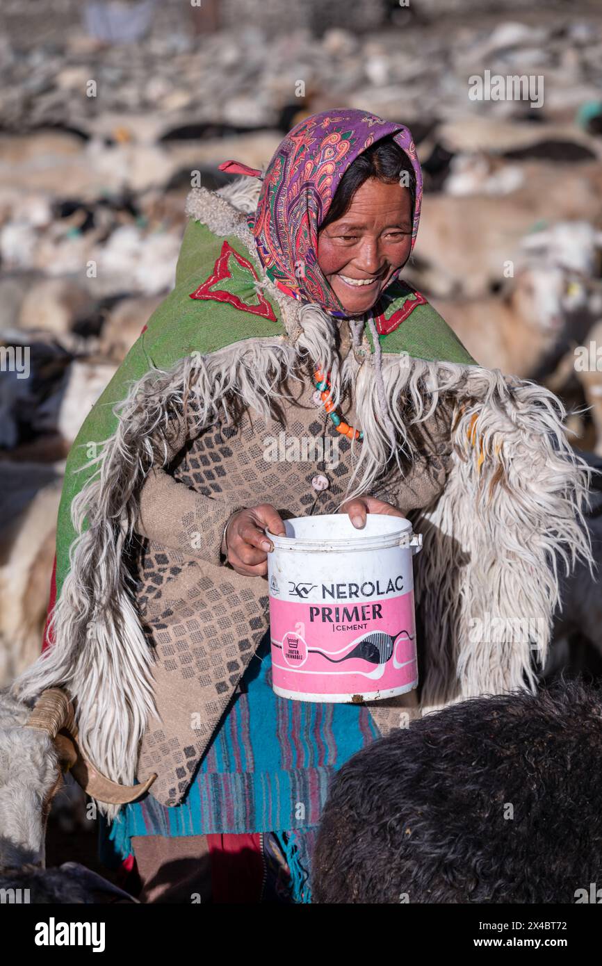 Porträt einer weiblichen Changpa-Nomade, Ladakh, Indien Stockfoto