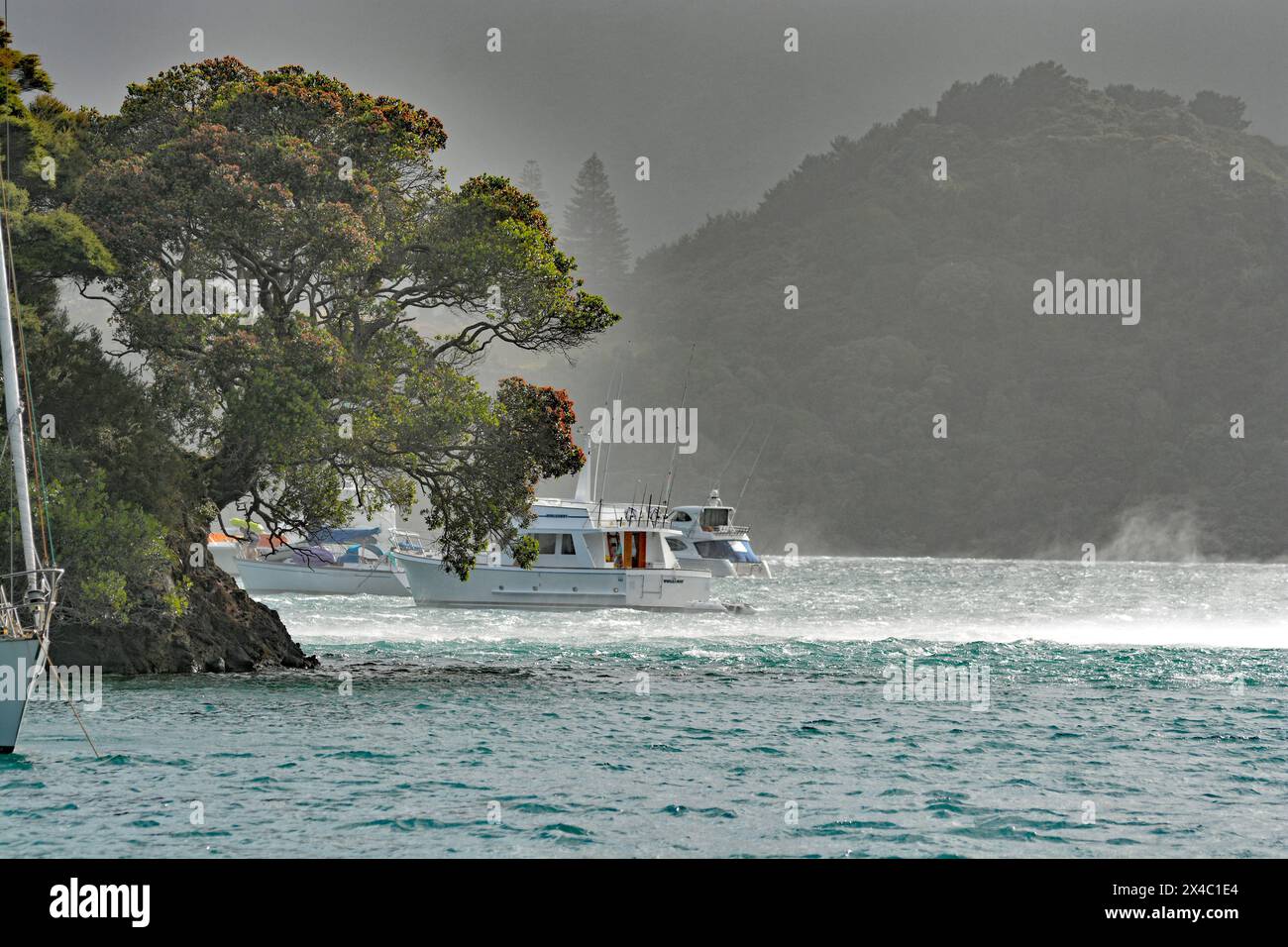 Boote schützen vor Sturm auf Port Fitzroy Harbour Great Barrier Island Stockfoto