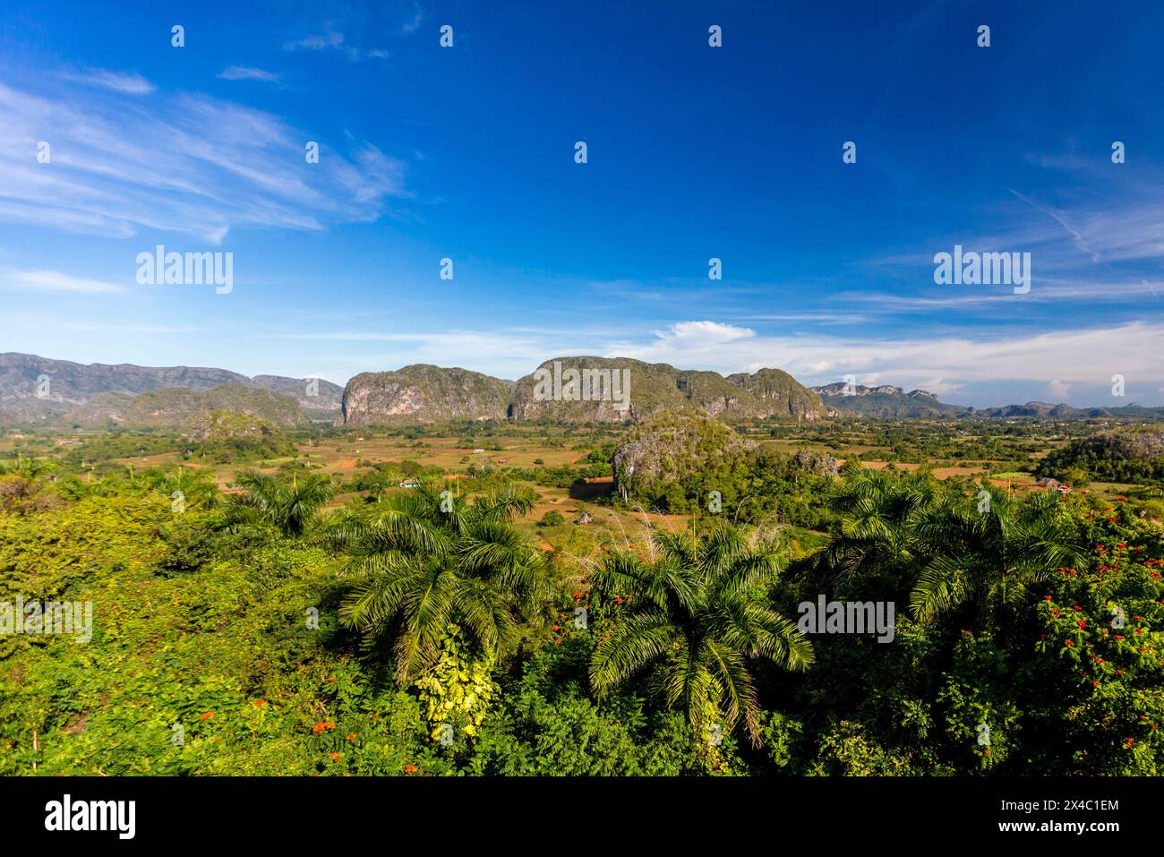 Ein Gebiet von Kuba, in der Nähe von Vinales, das zum UNESCO-Weltkulturerbe erklärt wurde. Stockfoto