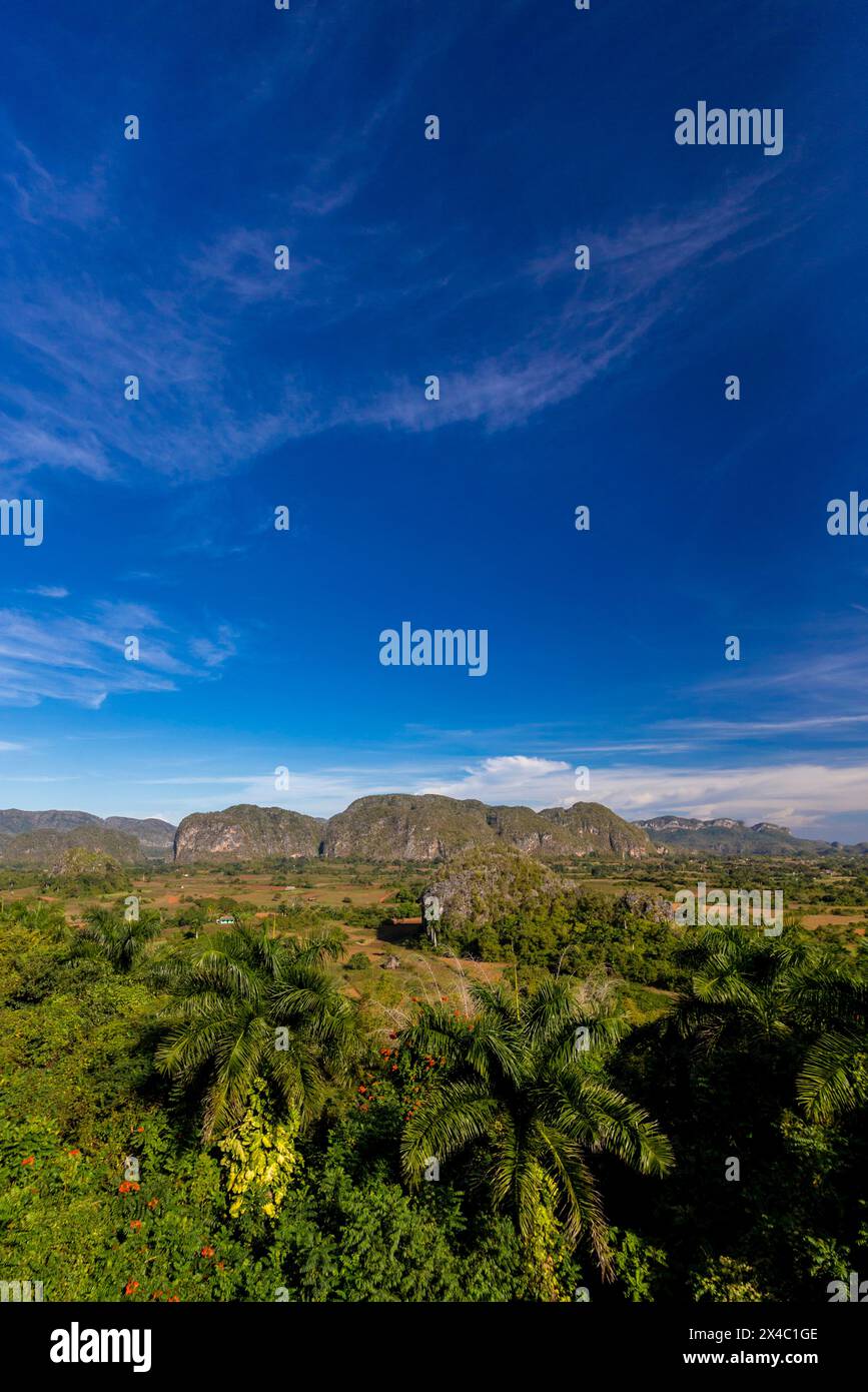 Ein Gebiet von Kuba, in der Nähe von Vinales, das zum UNESCO-Weltkulturerbe erklärt wurde. Stockfoto