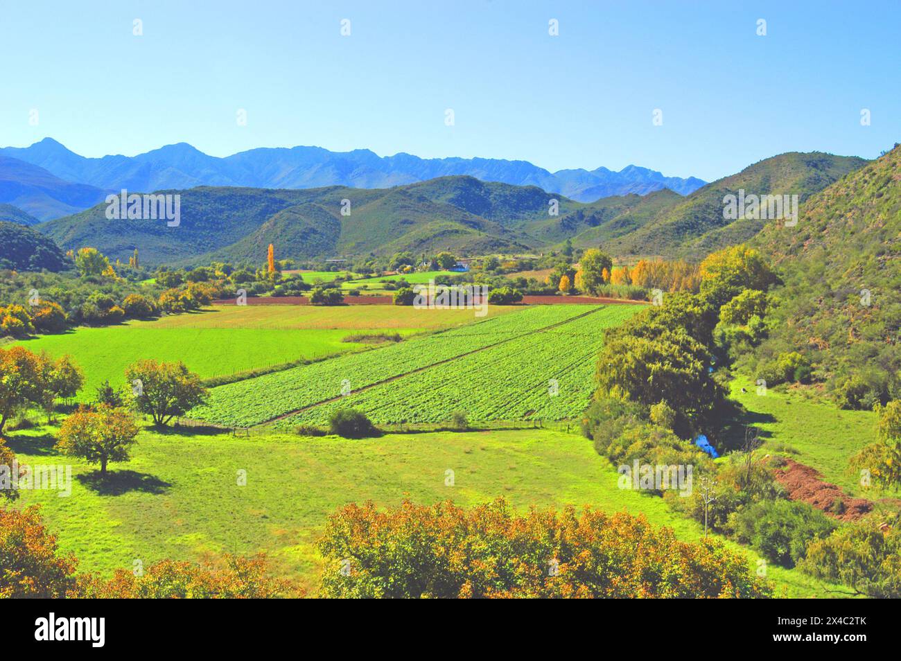 Auf dem Land, in der Nähe von Oudtshoorn, Little Karoo, Westkap, Südafrika Stockfoto