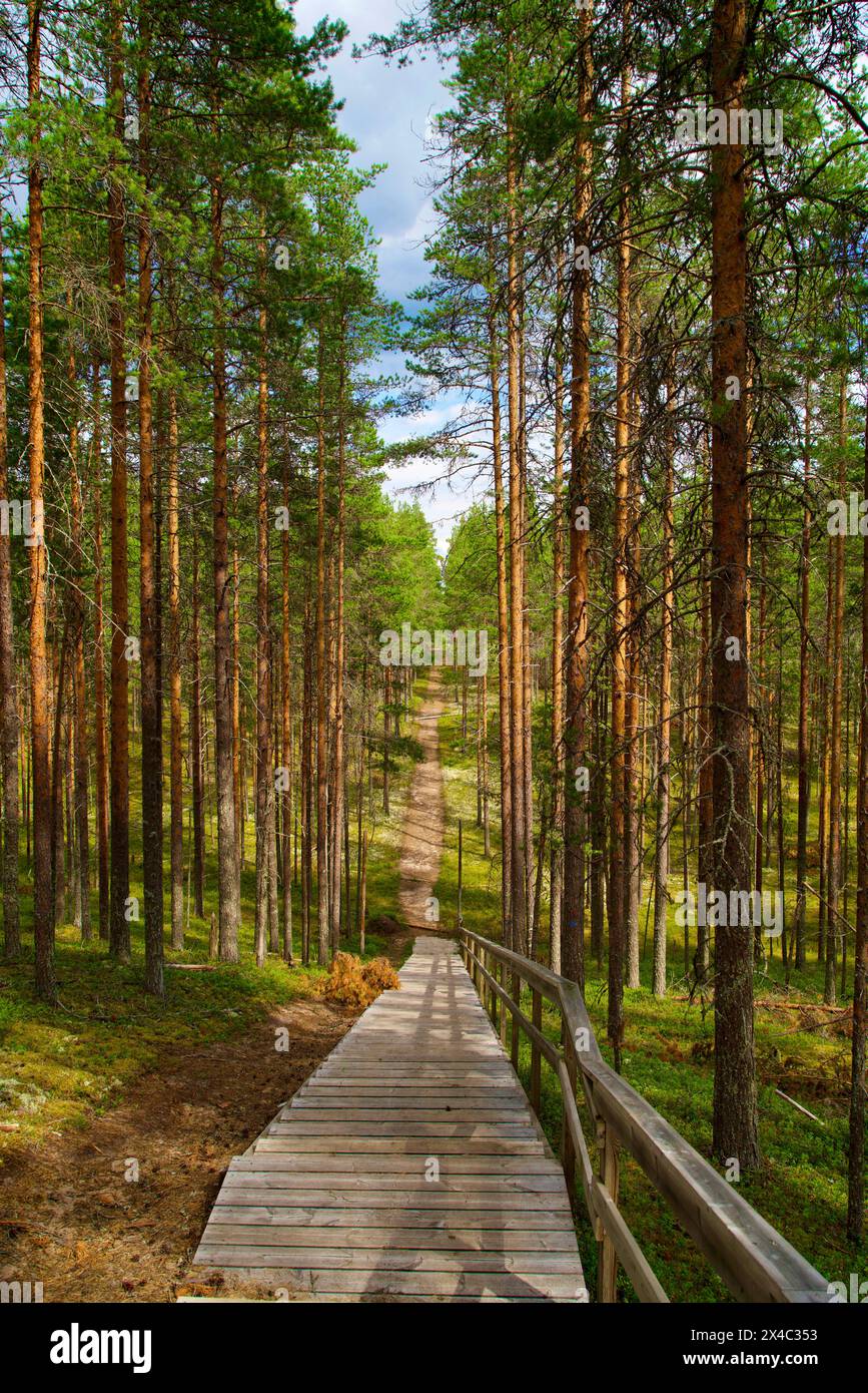 Finnland, Nord-Ostrobothnia, Rokua-Nationalpark. Treppe auf dem Weg Stockfoto