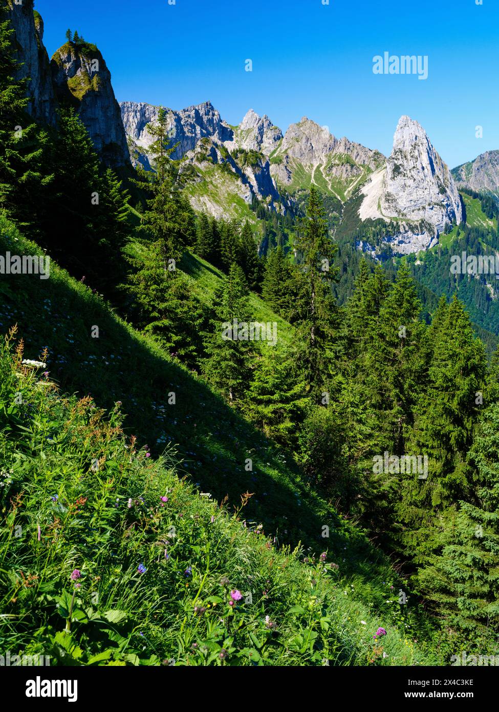 Blick in Richtung Mt. Geiselstein. Naturpark Ammergauer Alpen in den nördlichen Kalkalpen Oberbayerns. Stockfoto