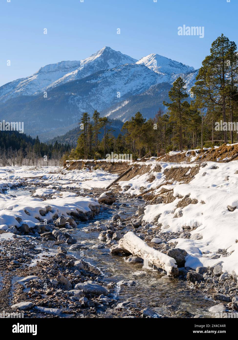 Blick in Richtung Mt. Daniel. Die geschützte Schotterebene Friedergries in den Ammergauer Alpen in den nördlichen Kalkalpen Oberbayerns. Stockfoto