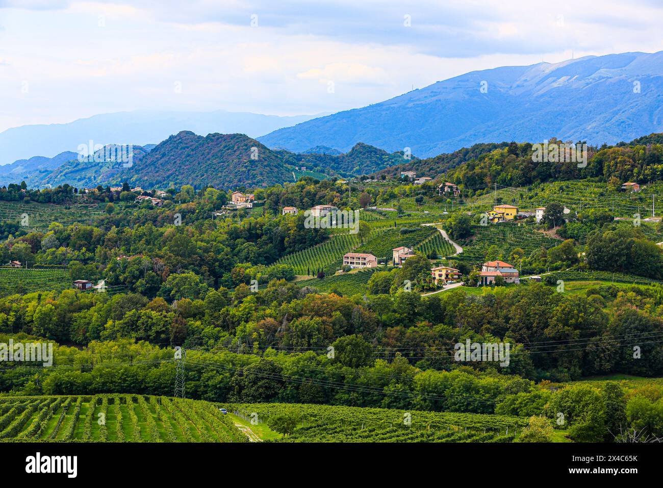 Veneto, Italien. Weinberge, Prosecco, Bauernhäuser im toskanischen Stil Stockfoto