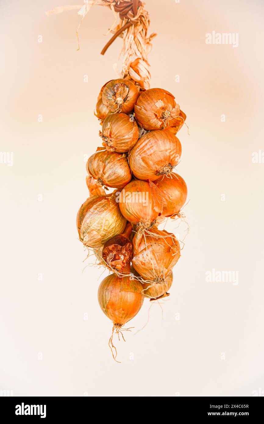 Italien. Getrocknete gelbe Zwiebelstränge, Gemüse Stockfoto