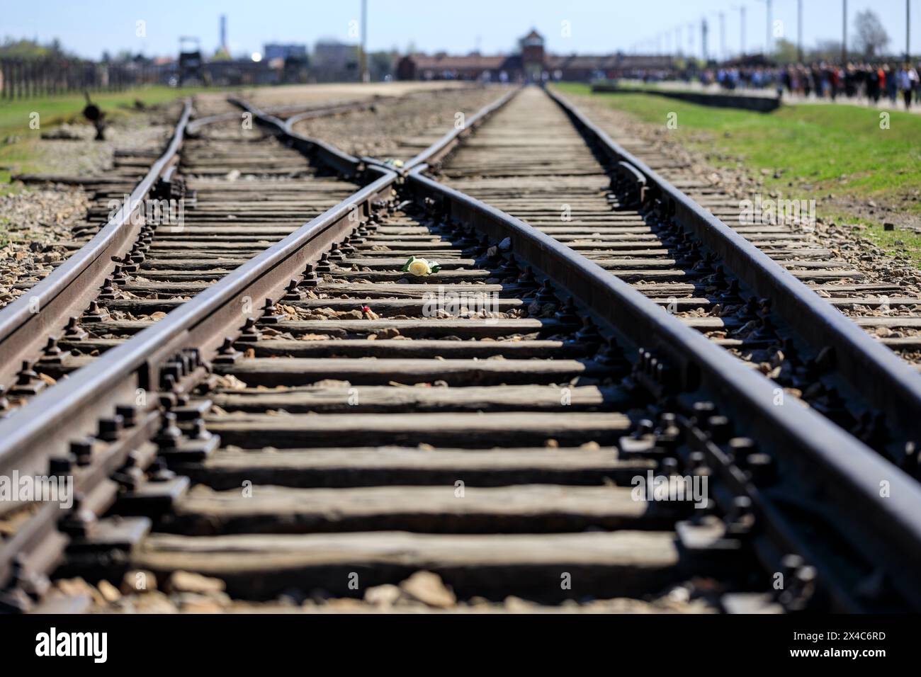 Polen, Oswiecim, Auschwitz-Birkenau. Gleise führen zum Haupteingang. Stockfoto