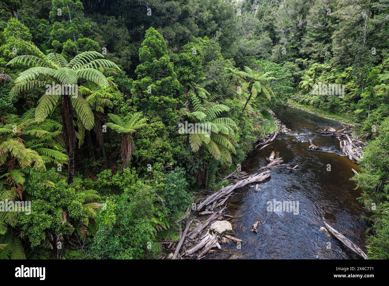 Blick auf den Tangarakau River von einer Brücke über den Forgotten World Highway, North Island, Neuseeland Stockfoto