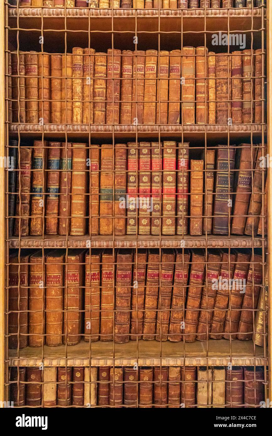 England, North Yorkshire, Henderskelfe. Bücherregal aus antikem Leder. (Nur Für Redaktionelle Zwecke) Stockfoto