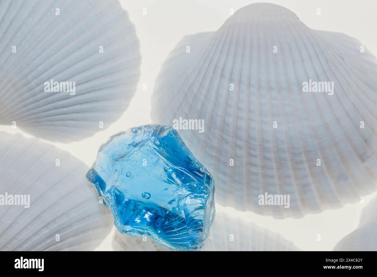 Muscheln und blaues Glas mit Licht Stockfoto