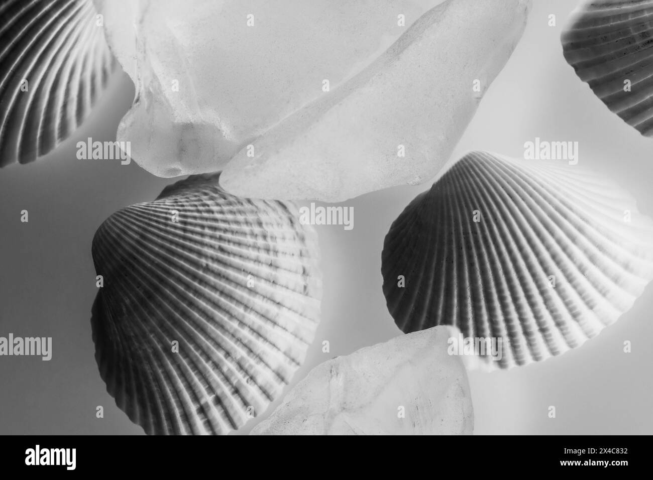 Muscheln und blaues Glas mit Licht Stockfoto