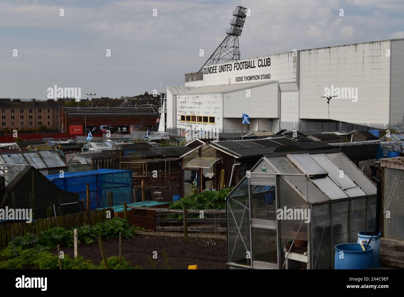 Gewächshäuser und Schuppen in der Arklay Street und Eddie Thompson Stand des benachbarten Tannadice Park, Heimstadion des Dundee United FC, Schottland. Stockfoto