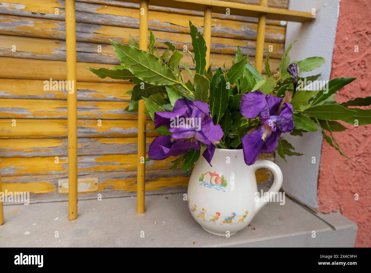 Irisblumen und grüne Lorbeerblätter in einem alten weißen Krug über den alten gelben Holzläden. Rustikaler Blumenhintergrund Stockfoto