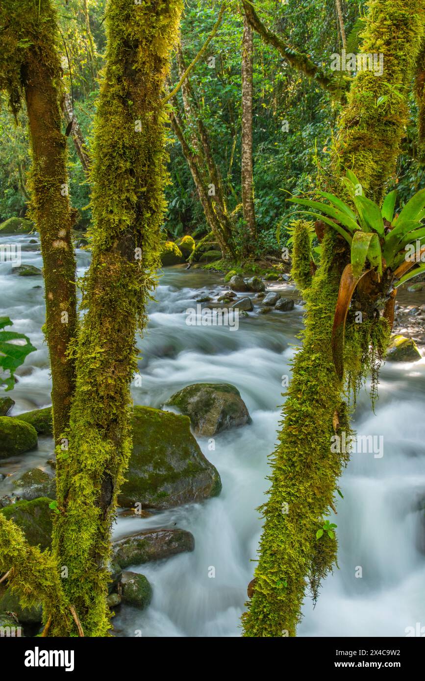 Costa Rica, Cordillera de Talamanca. Landschaft des Savegre River. Stockfoto