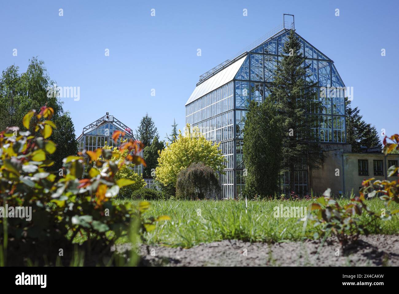 LEMBERG, UKRAINE - 1. MAI 2024 - Orangerien sind im botanischen Garten der Iwan-Franko-Universität in Lemberg im Westen der Ukraine abgebildet. Stockfoto