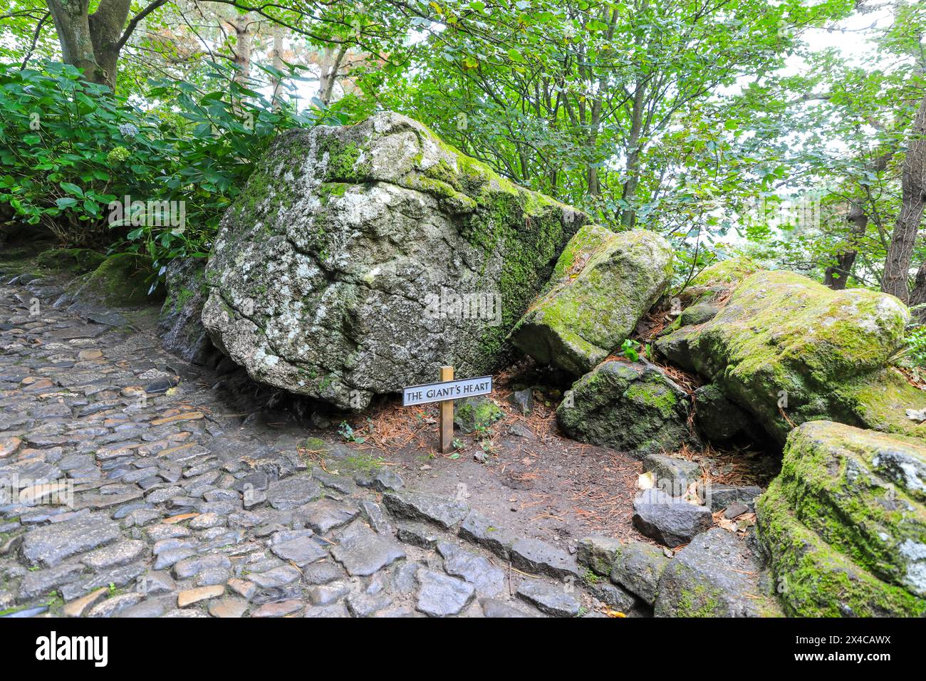 Das Herz des Riesen, das ein Stein ist, St. Michael's Mount, Mount's Bay, Marazion, Penzance, Cornwall, England, Vereinigtes Königreich Stockfoto