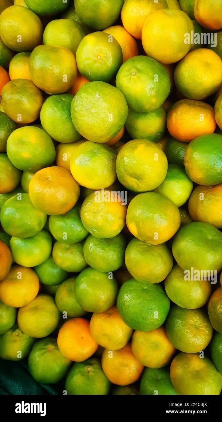 Frische reife Orange auf dem Markt. Kiste reifer Mandarinen. Blick von oben. Ein Haufen Orangenfrüchte im Laden. Haufen Orangenfrüchte. Orangenhaufen für den Verkauf auf dem Markt. Stockfoto